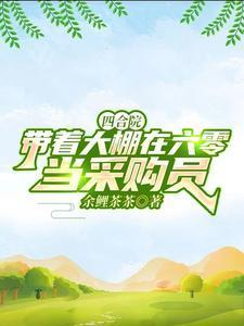 四合院穿越60年代的璀璨人生