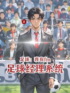 足球我有fm足球经理系统