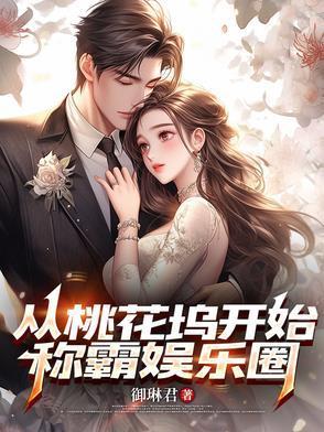 从桃花坞进入娱乐圈