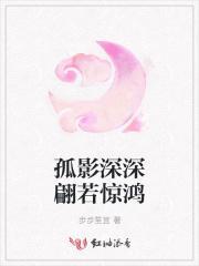 孤影照惊鸿的意思