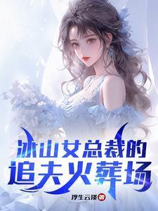 冰山女总裁的追夫火葬场江彻林月嫣