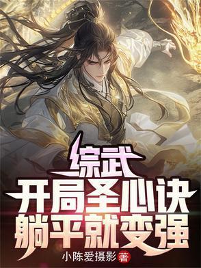 综武开局圣心诀