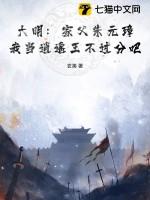 大明之我是朱元璋的儿子