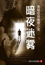 暗夜迷雾40集在线观看