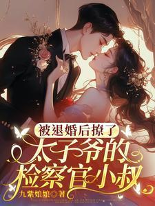 被退婚后成了太子妃庄小九
