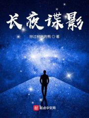 长夜谍影TXT免费全本