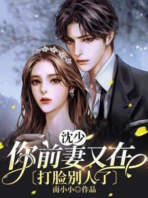 前妻来袭沈安林免费