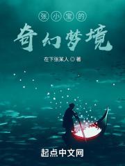 张小宝的奇幻梦境是什么