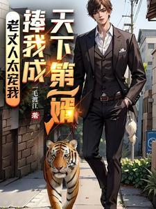 捧我成天下第一婿等级境界