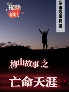 梅山故事之亡命天涯全本