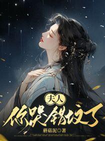 夫人你哭错坟了原著