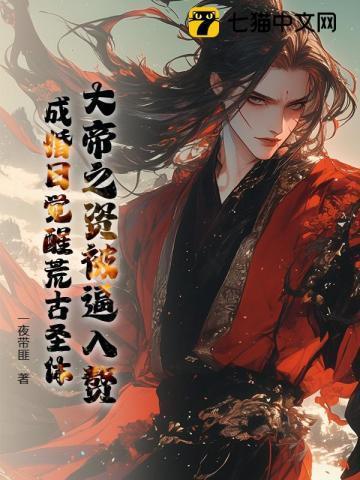 大帝之上是什么境界