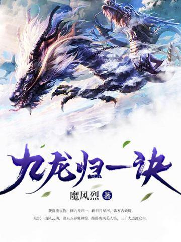 九龙归一诀最新篇章