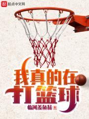 我真的在打篮球 临河羡鱼翁