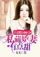 私宠100婚闪婚总裁霸道
