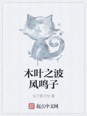 木叶之波风传说