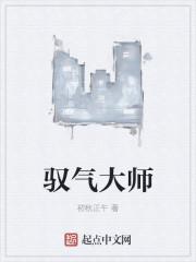 气大师王林
