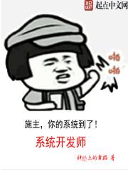 系统开发赚钱吗