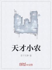 天才小农民