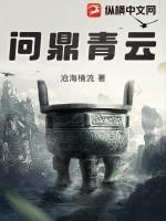 问鼎青云路陆沉远