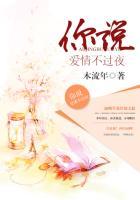 你说爱情不会犯错是什么歌