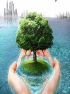 空间传奇装备展示