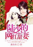 陆少的网红甜妻全文阅读