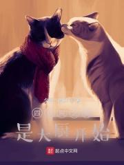 四合院之我是大厨开始最新章