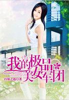 我的极品美女军团在线观看