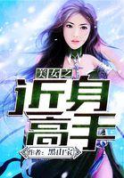美女总裁之近身高手全文阅读