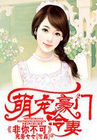 萌宠夫人免费阅读