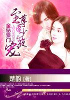 金钻豪门至尊帝少的盛宠沈玉洁