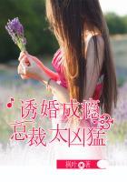 总裁诱妻成瘾全本免费阅读