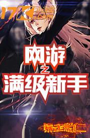 网游之满级属性