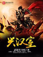 兴汉室武陵年少时TXT