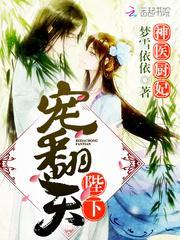 神医厨妃陛下
