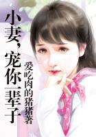 小妻娇宠