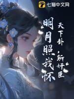 天下卦,斩奸臣,明月照我怀