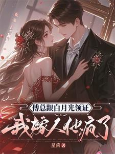 傅总跟白月光领证,我嫁人他疯了