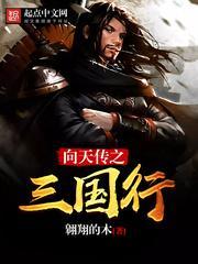 向天传之三国行