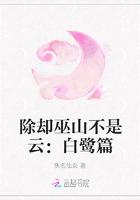 除却巫山不是云：白鹭篇