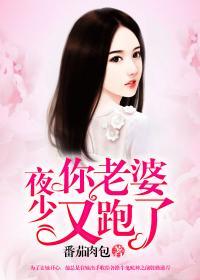 夜少,你老婆又跑了