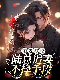 前妻攻略,陆总追妻不择手段