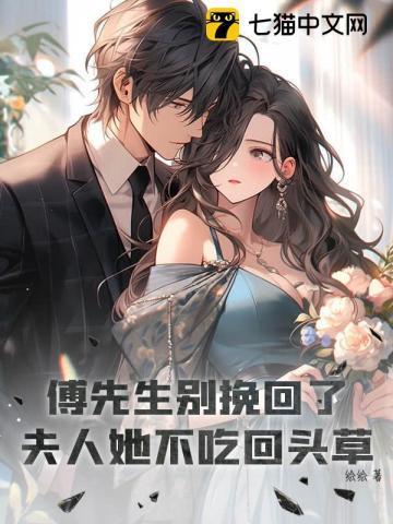 傅先生别挽回了,夫人她不吃回头草