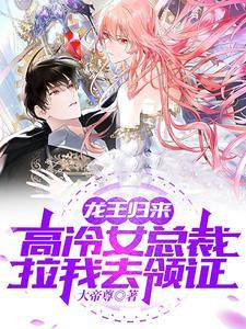 龙王归来,高冷总裁拉我去领证
