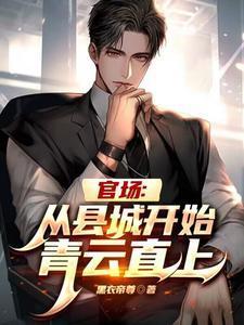 官场:从县城开始青云直上!