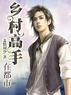 乡村高手在都市