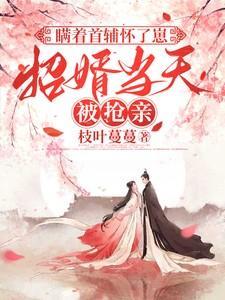 瞒着首辅怀了崽，招婿当天被抢亲