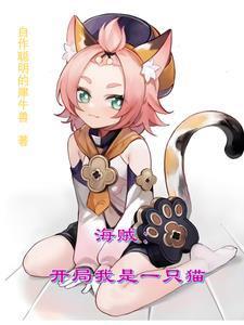 海贼:开局我是一只猫