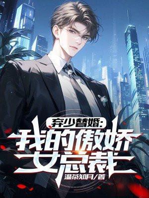 弃少替婚:我的傲娇女总裁